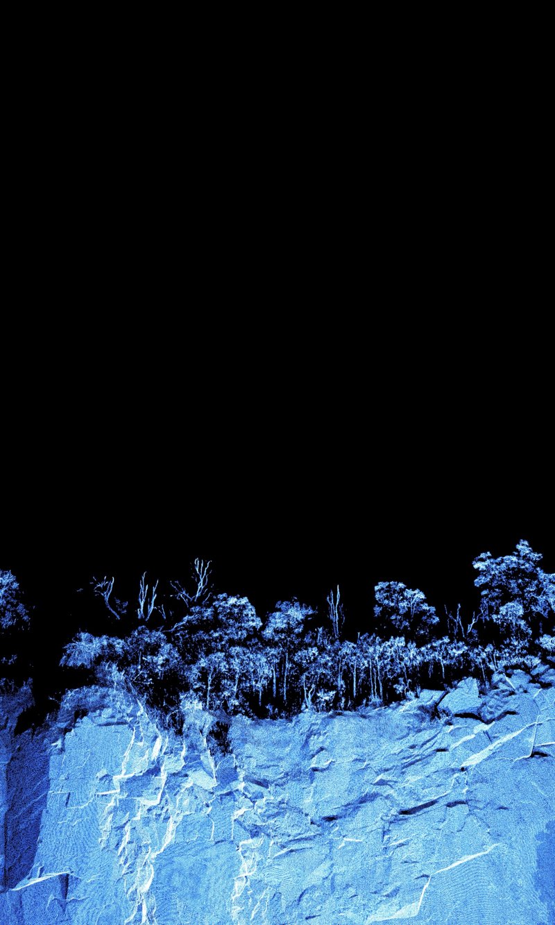 Mountain Quarry B: blue point cloud scan of the quarry wall with a line of bush along its top
